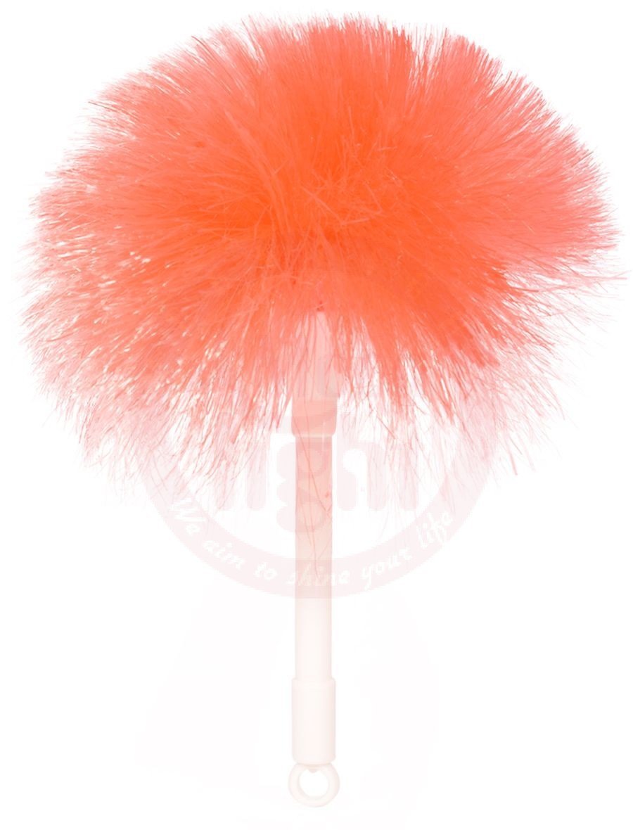 Static Duster Handy (computer Brush)  30424