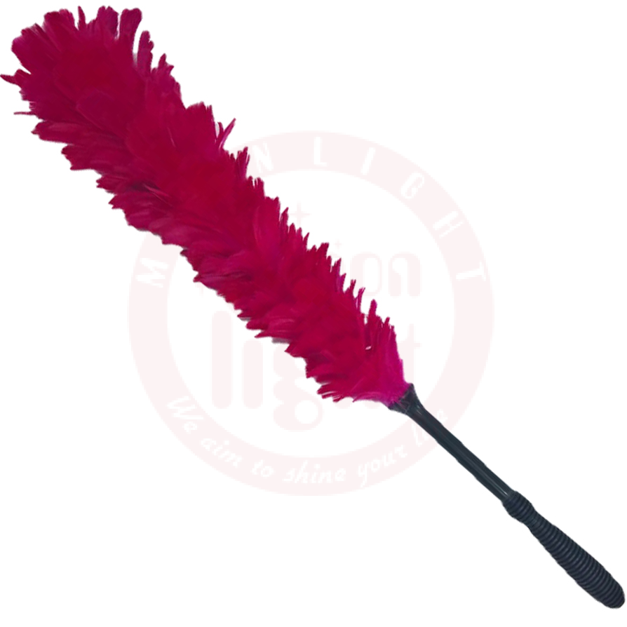 Feather Duster Goose Large  30437