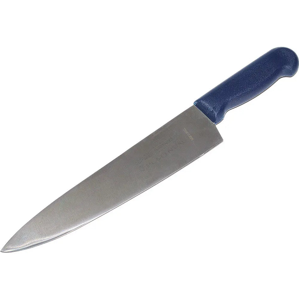 MARTINAZZO Premium Meat Knife With Plastic Handle, 10" Blue