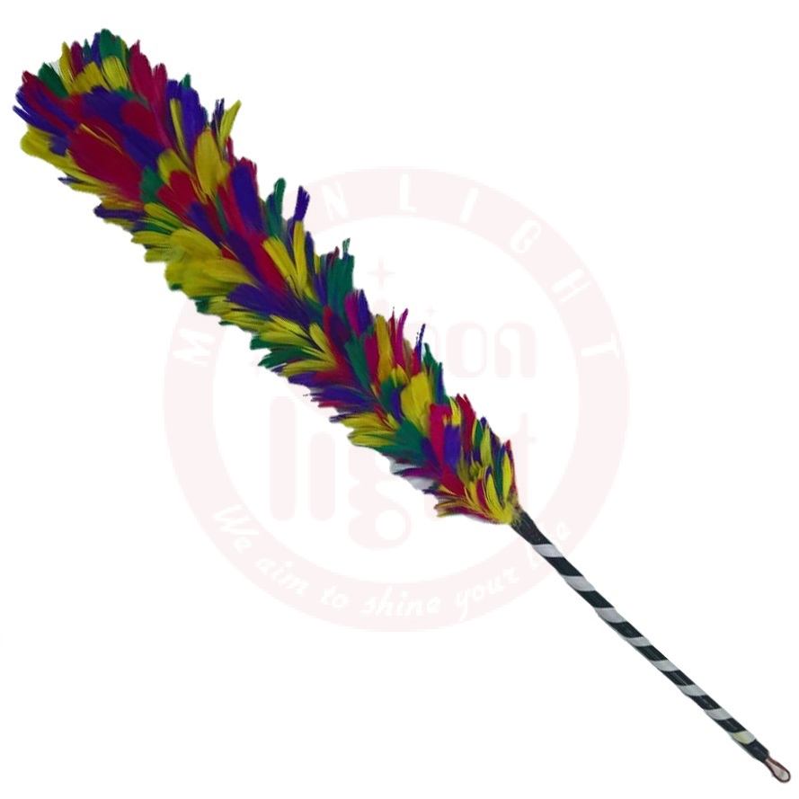 Feather Duster Goose Multi Color  30436