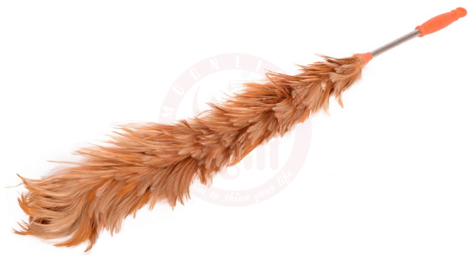 Feather Duster  30626