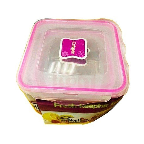 Food Container 2 Pcs Set  10387